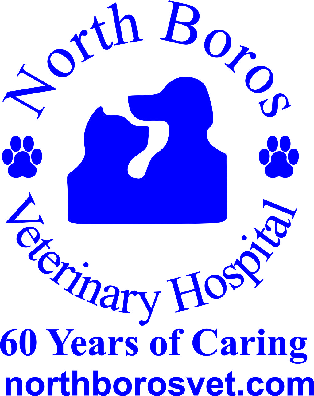 Pet Resources – North Boros Veterinary Hospital